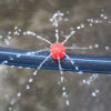 Little Red Riding Hood Dripper With Adjustable Flow Size And Detachable Sprinkler - Image 2
