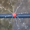 Little Red Riding Hood Dripper With Adjustable Flow Size And Detachable Sprinkler - Image 5