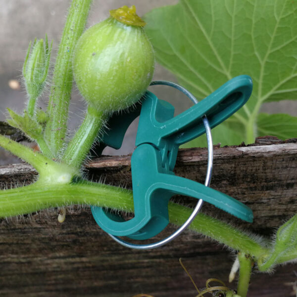 Plant fixing clip - Image 2